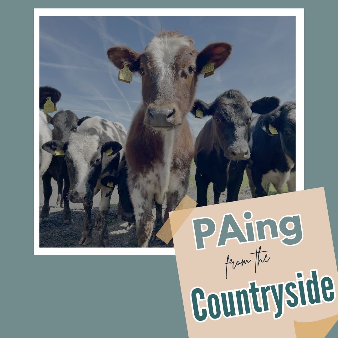 Executive PAing from the Countryside